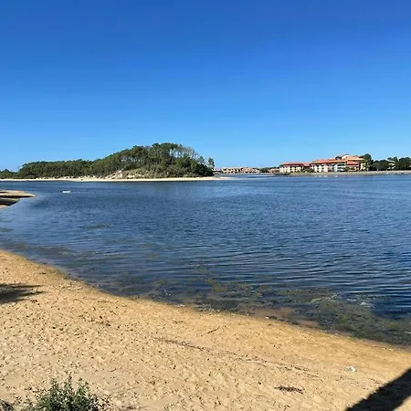 Les Chalets Du Lac Soustons